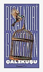 Çalıkuşu - İnkılap Kitabevi