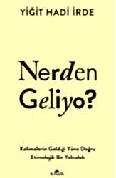 Nerden Geliyo? - Kronik Kitap