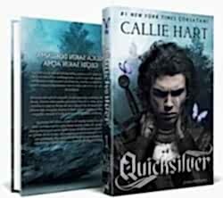 Quicksilver - İndigo Kitap